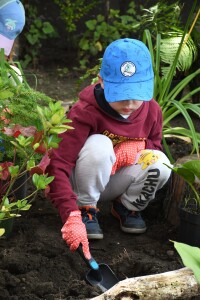 Ogrody_Deszczowe_Lubie_Deszcz_Fundajca_OnWater.pl_04