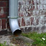 Ogrody_Deszczowe_Lubie_Deszcz_Fundajca_OnWater.pl_07
