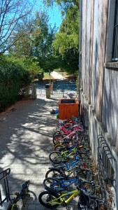 Ogrody_Deszczowe_Lubie_Deszcz_Fundajca_OnWater.pl_09