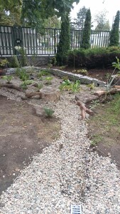 Ogrody_Deszczowe_Lubie_Deszcz_Fundajca_OnWater.pl_11