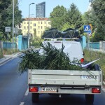 fot Michal Strokowski 2918